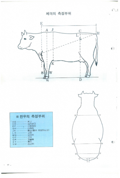 11회 전국축산진흥대회 화보 (2)